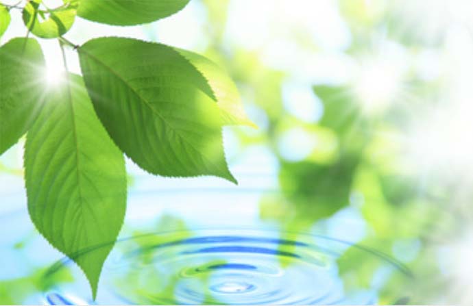 自然を楽しみ、調和した暮らしの提案