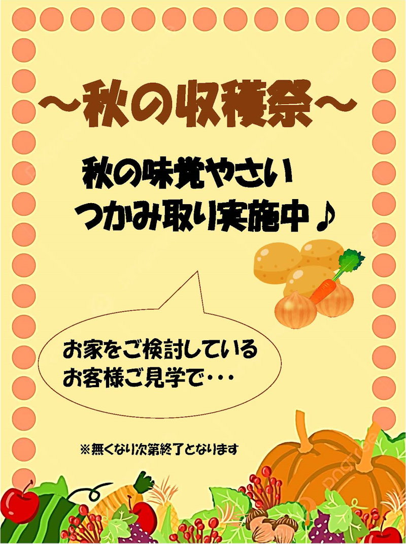 秋の収穫祭つかみ取り