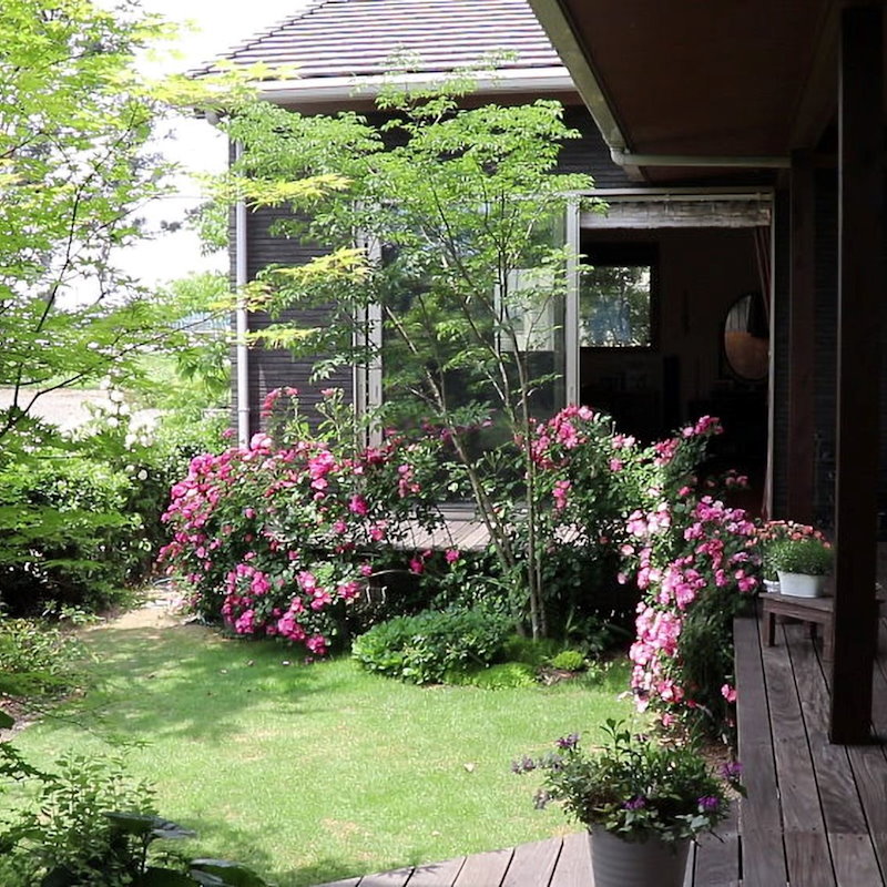 ズバリ！な間取り相談会