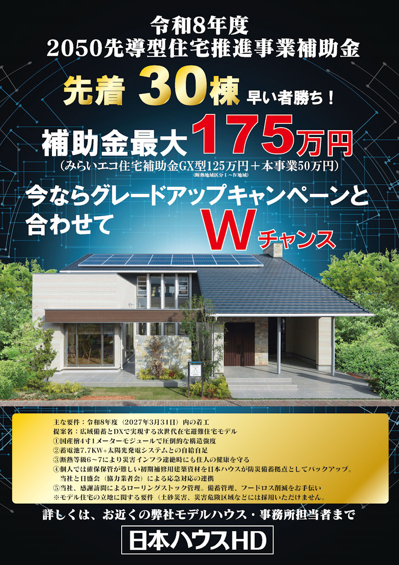 先導型補助金