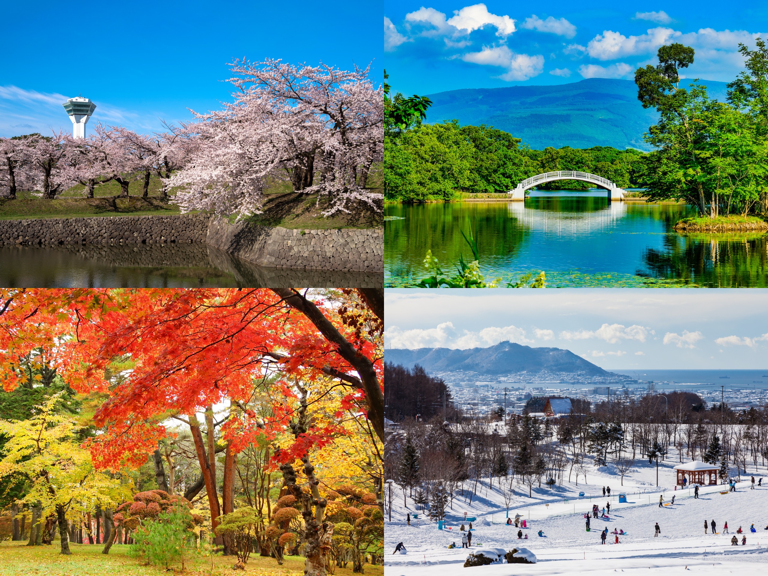 写真左上:春の五稜郭公園から望む五稜郭タワー/右上:夏の大沼国定公園/左下:秋の香雪園/右下:冬の道南四季の杜公園