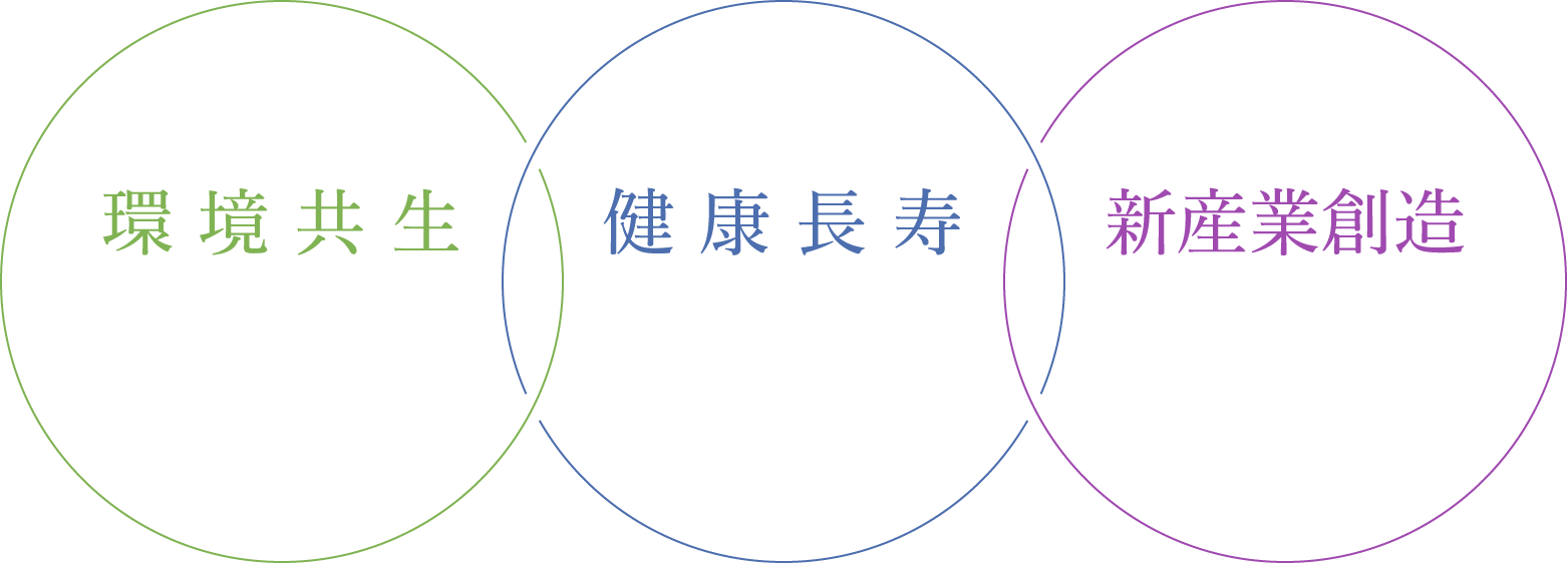 【環境共生:人と地球にやさしく災害にも強い街】【健康長寿:すべての世代が健やかに安心して暮らせる街】【新産業創造:日本の新しい活力となる成長を育む】