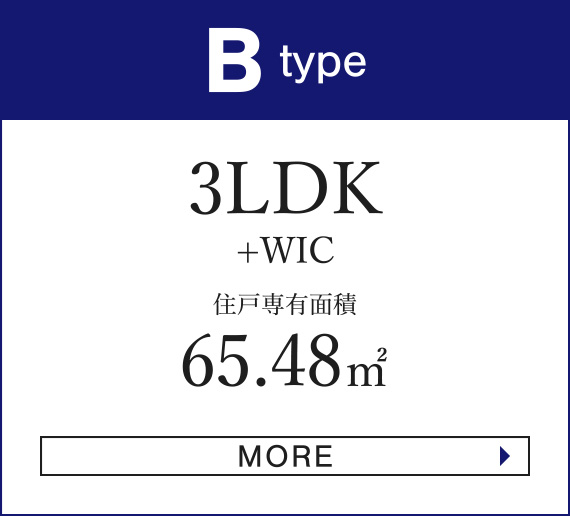 B・Btgタイプ