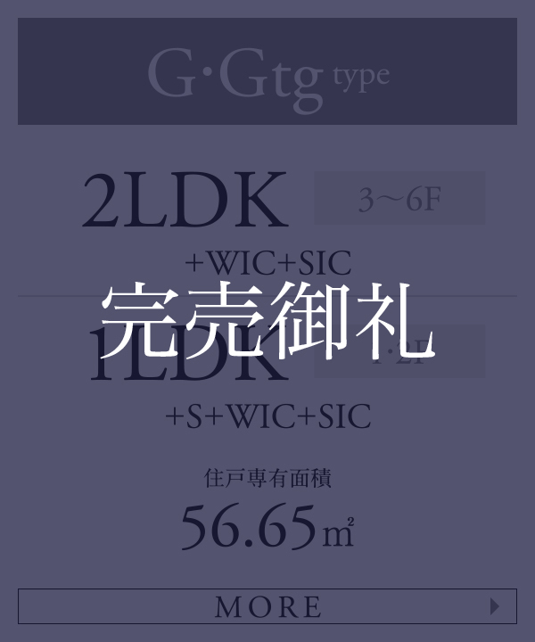 Gタイプ 2LDK+WIC+SIC 1LDK+S+WIC+SIC