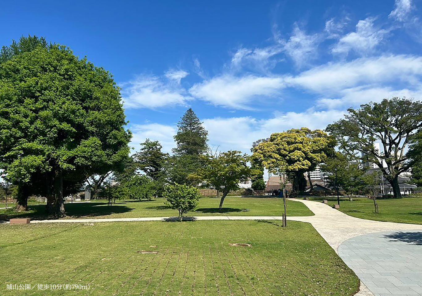 城山公園/徒歩10分(約790m)