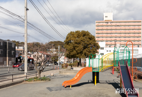 森町公園