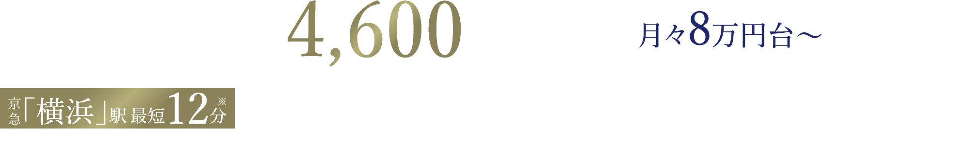 2LDK~3LDK 4,600万円〜 月々8万円台〜 京急「横浜」駅 徒歩12分（京急「上大岡」駅で特急に乗り換え） JR京浜東北・根岸線・金沢シーサイドライン「新杉田」駅 徒歩8分、JR京浜東北・根岸線「磯子」駅 徒歩14分、京急本線「屏風浦」駅 徒歩12分・「杉田」駅 徒歩14分