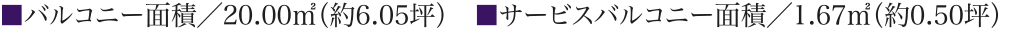 Dタイプ詳細