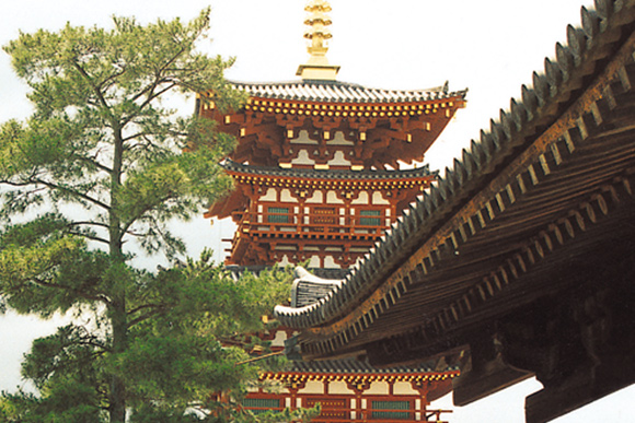 奈良の都の6割は檜造り