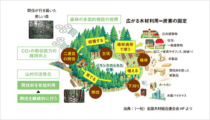 広がる木材利用=炭素の固定