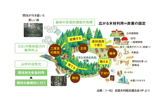 森林の多面的機能の発揮