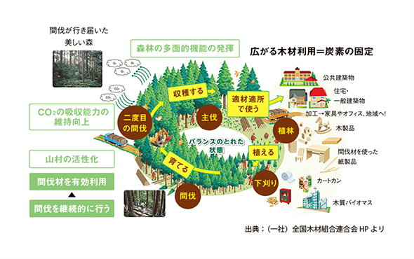 広がる木材利用が炭素の固定に